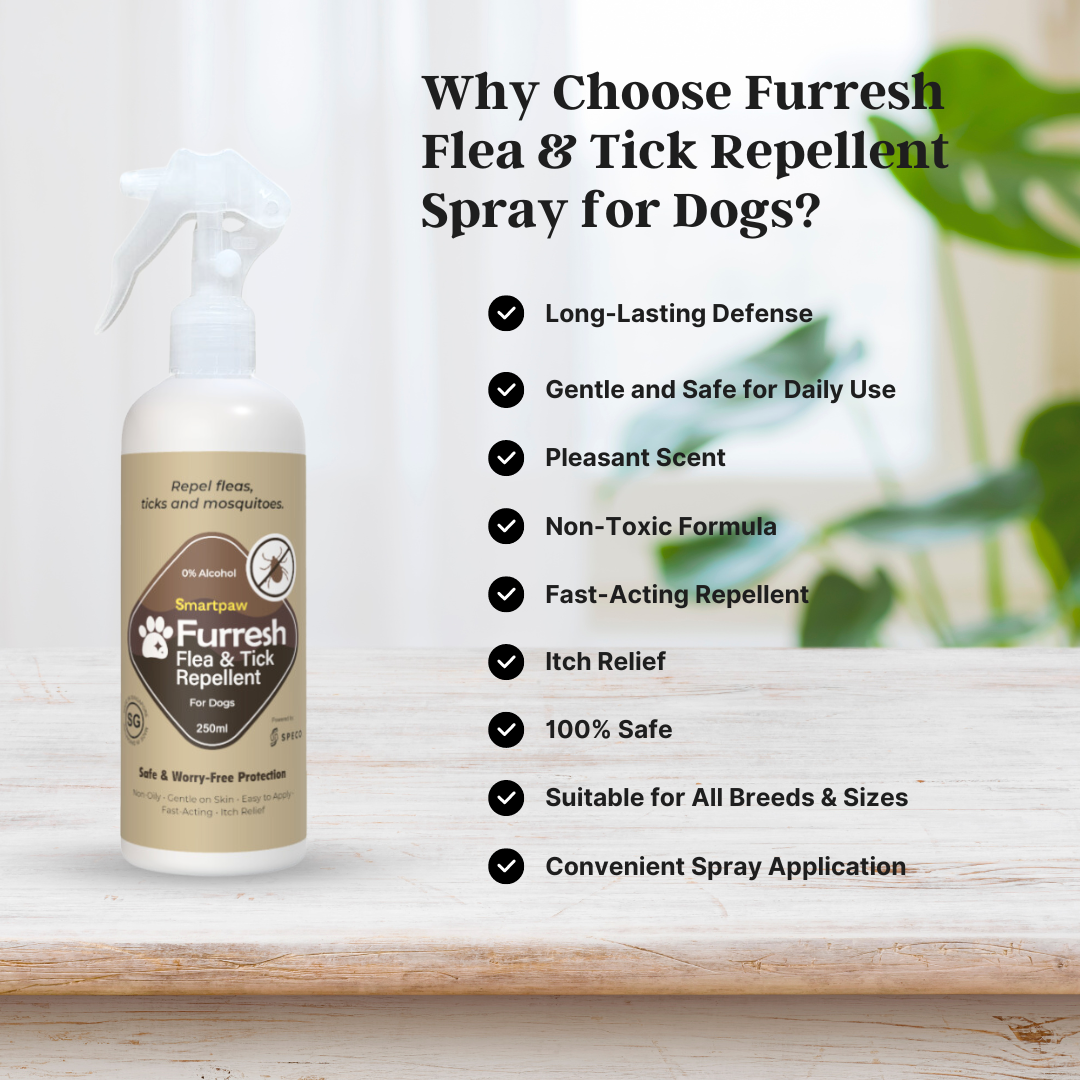 Spray repelente de pulgas y garrapatas FURRESH para perros | Prevención de pulgas y garrapatas en perros