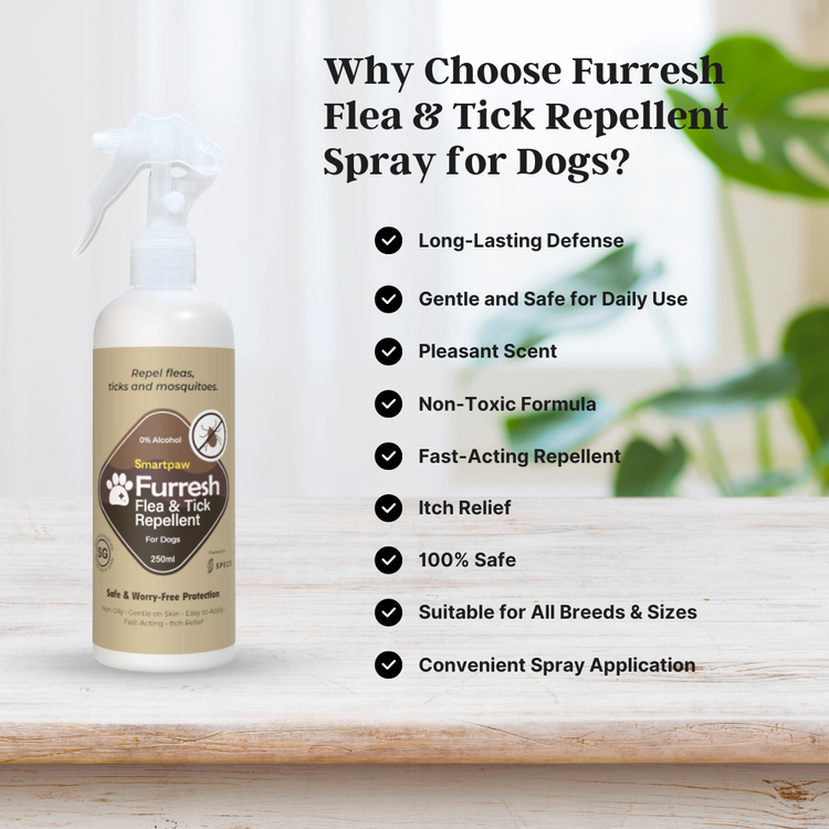 Spray repelente de pulgas y garrapatas FURRESH para perros | Prevención de pulgas y garrapatas en perros