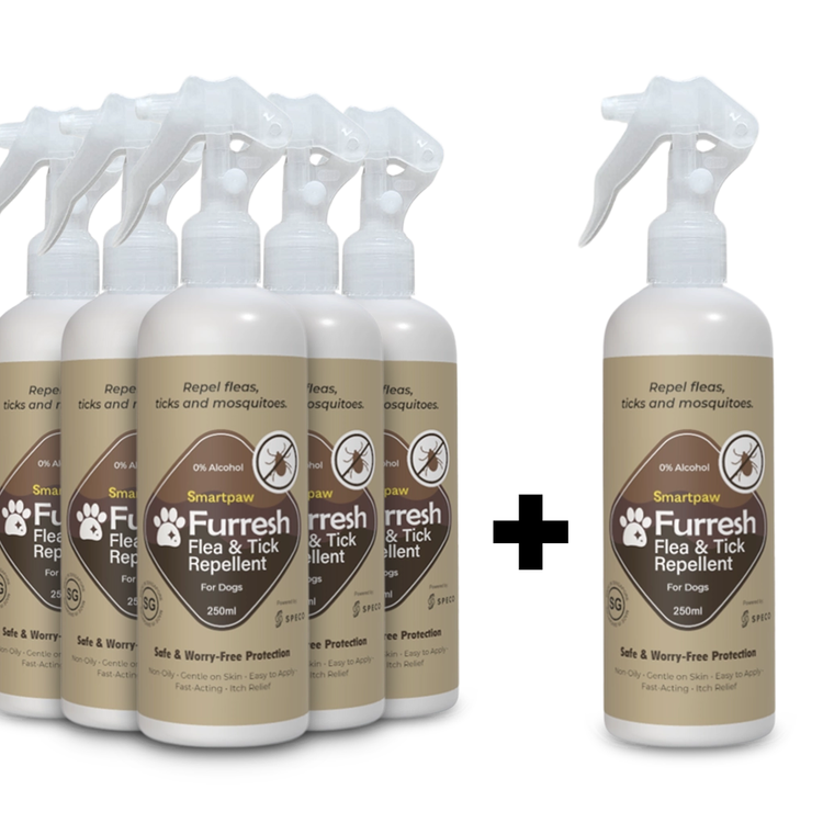 Spray repelente de pulgas y garrapatas FURRESH para perros | Prevención de pulgas y garrapatas en perros