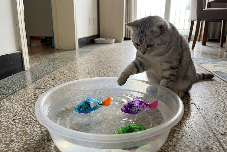 Cat watching LED fish toys in a shallow basin