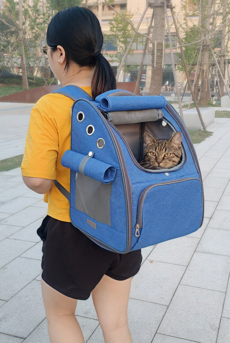Rear view of blue carrier worn outdoors