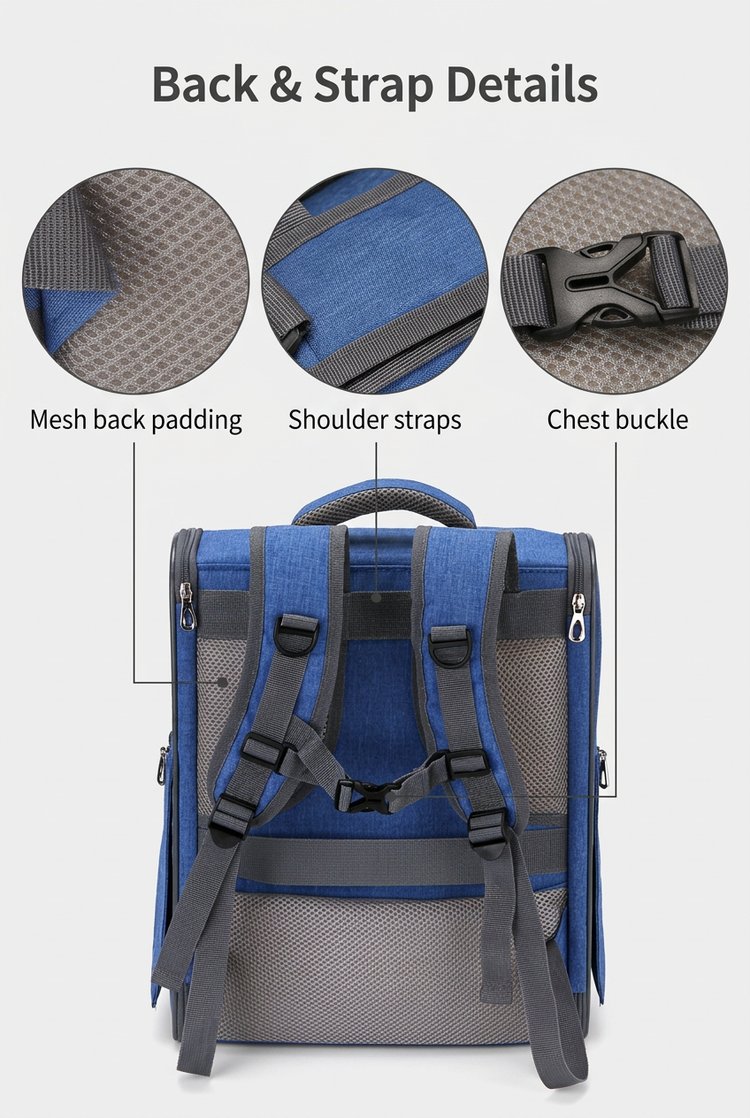 Labelled mesh back padding, shoulder straps and chest buckle