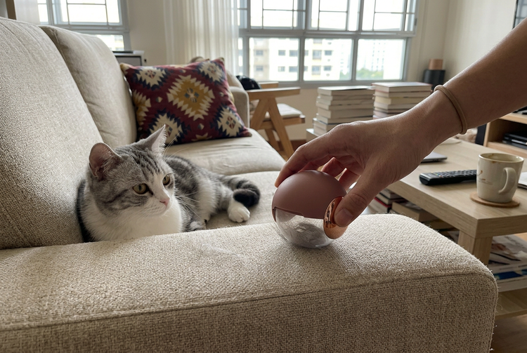 More realistic lint roller testimonial photo