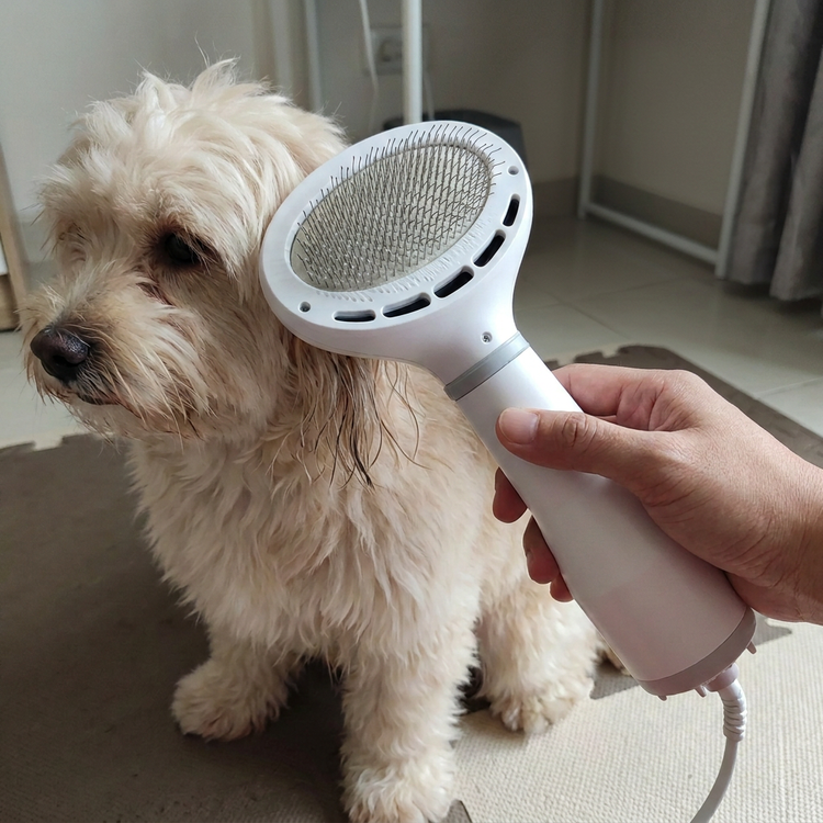 Revised grooming image with only one dog